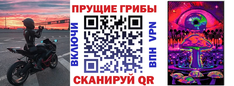маркетплейс Telegram  купить наркотик  Ладушкин  Псилоцибиновые грибы Cubensis 
